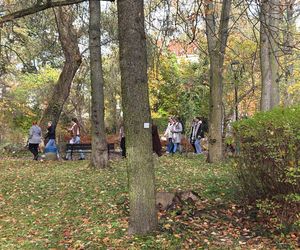 Jesień w Ogrodzie Botanicznym UKW. To ostatnia szansa na spacer wśród złotych liści!