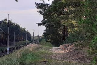 Brzoza Toruńska 40 lat po katastrofie kolejowej