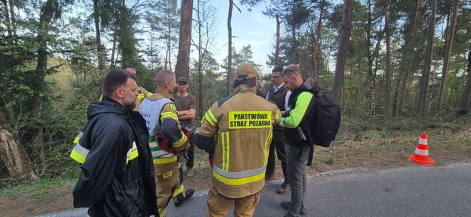 Płoną lasy w powiecie bocheńskim