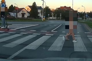 Groza na pasach w Rzeszowie! Ominął auto i wjechał w człowieka na hulajnodze
