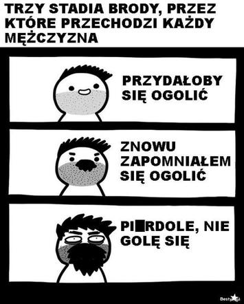 Memy o brodzie z okazji Światowego Dnia Brody