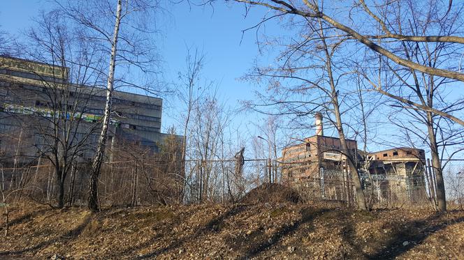 Mysłowice: Złomiarze dewastują budynki po kopalni Mysłowice [ZDJĘCIA, AUDIO, WIDEO]