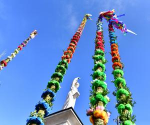  Konkurs na najpiękniejszą palmę wielkanocną w Lipnicy Murowanej