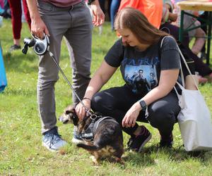 IX Piknik Przyjaciół Schroniska w Toruniu