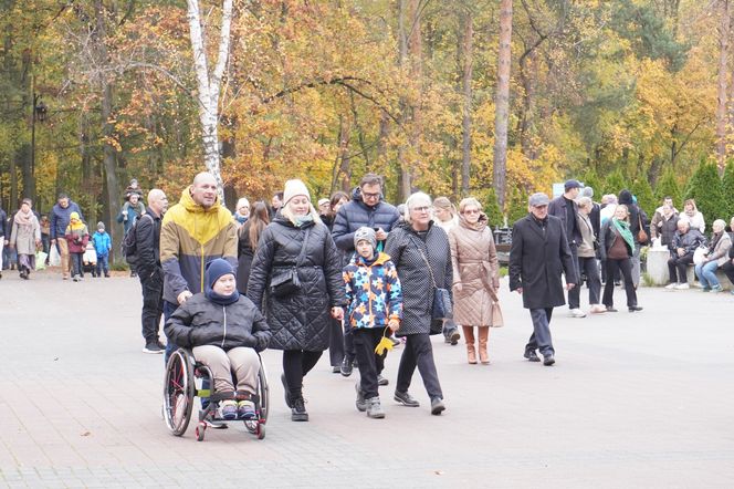 Tłumy na cmentarzu na Miłostowie