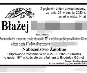 14-letni Błażej huknął w drzewo quadem i zginął! Ten szczegół mógł kosztować go życie