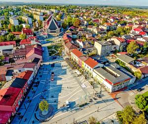 Ptasia grypa atakuje miasta na Śląsku. Sanepid ostrzega