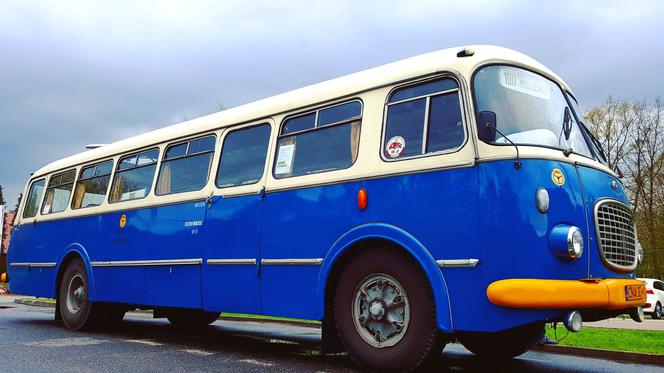 Szykuje się zlot zabytkowych autobusów w Bydgoszczy