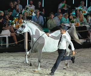 Porażka Pride of Poland 2024? Zyski są zdecydowanie niższe niż rok temu