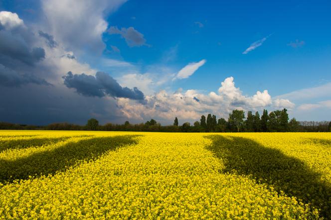 Każdy może pomóc Ukrainie [LISTA DARÓW]