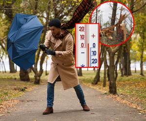 Koszmarna pogoda. Wiatr do 100 km/h i mróz. To już wkrótce