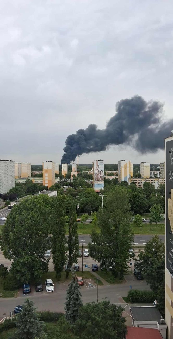 Pożar na Elanie w Toruniu