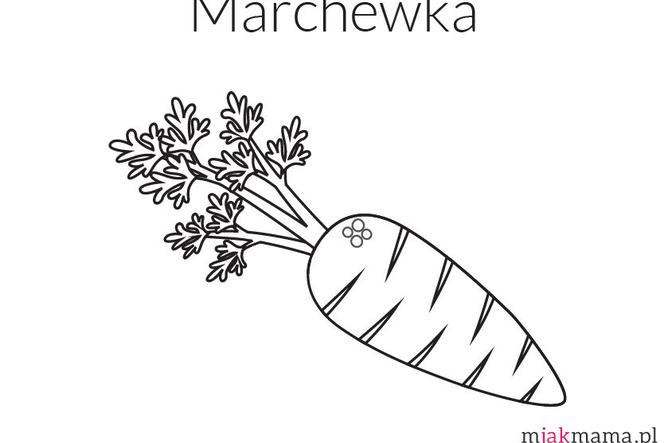 marchewka kolorowanka