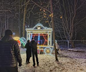 Odwiedziłam Ogród Świateł w Gdyni. Poczuj ze mną magiczny klima