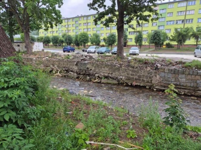 Tak wygląda potok Morawka w Stroniu Śląskim. Mieszkańcy: "Nic tu nie jest zabezpieczone" 