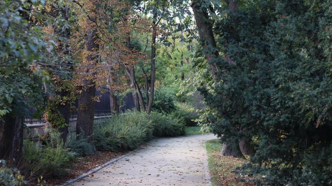 Nowa pora roku już jest w mieście. Lublin przybrał już jesienne barwy. Zobaczcie!