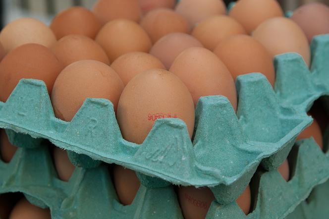 Uwaga! Do sklepów trafiły jaja skażone salmonellą. Sprawdź, czy nie masz ich w lodówce!