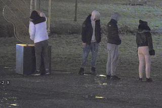 Najpierw zabrał się za gitarę, potem skopał saksofon. Wszystko nagrała kamera