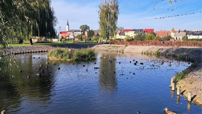 Grajewo w woj. podlaskim