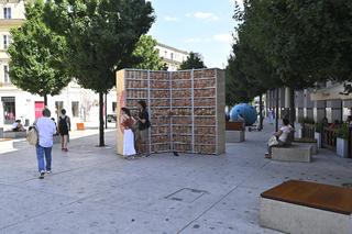 Różowe grzyby na placu Pięciu Rogów w Warszawie. Intrygujące rusztowanie, przechodnie w szoku