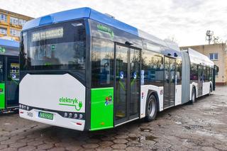 Elektryczne autobusy Szczecin