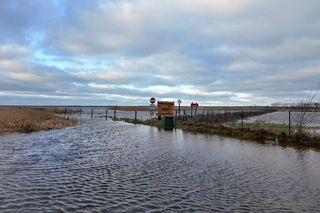 Cała plaża nad Jeziorem Łebsko zniknęła - pisze działaczka Marta Frankowska 