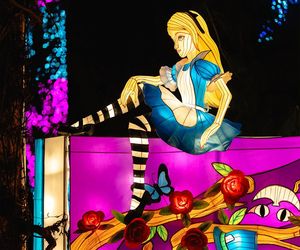 Śląsk zamienia się w Krainę Czarów. Ta magiczna wystawa świateł to absolutny hit jesieni i zimy