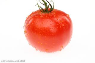 Pomidor zwyczajny