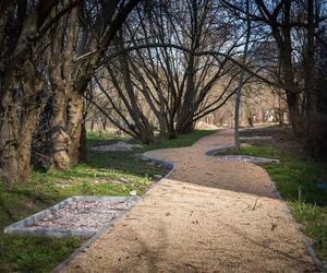 Park linearny Suwak nabiera kształtu
