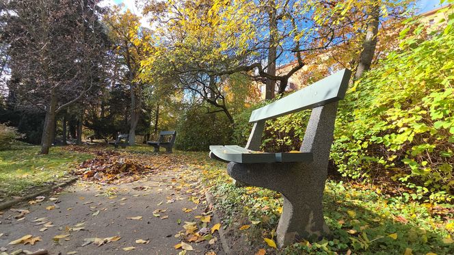 Jesień w Ogrodzie Botanicznym UKW. To ostatnia szansa na spacer wśród złotych liści!