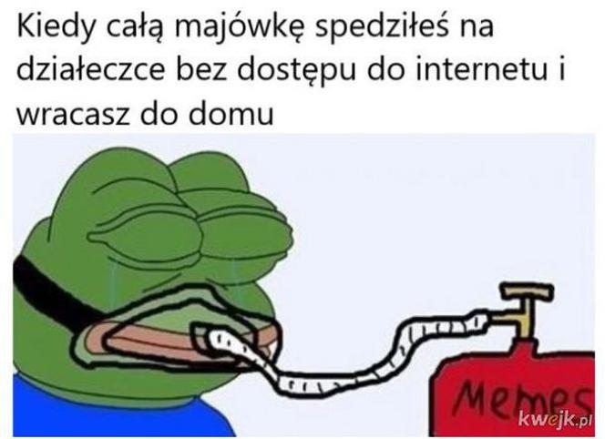 Majwówka 2020 memy