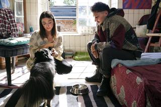 Barwy szczęścia, odc. 2766: Luiza (Julia Zielińska), Aro (Martin Bogdan)