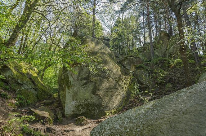 To miasto w Małopolsce jest kolebką turystyki. Legenda głosi, że założył je stryj Mieszka I