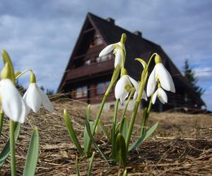 Najlepsze schroniska w Beskidach. Zimą czarują pięknym klimatem i fantastyczną atmosferą