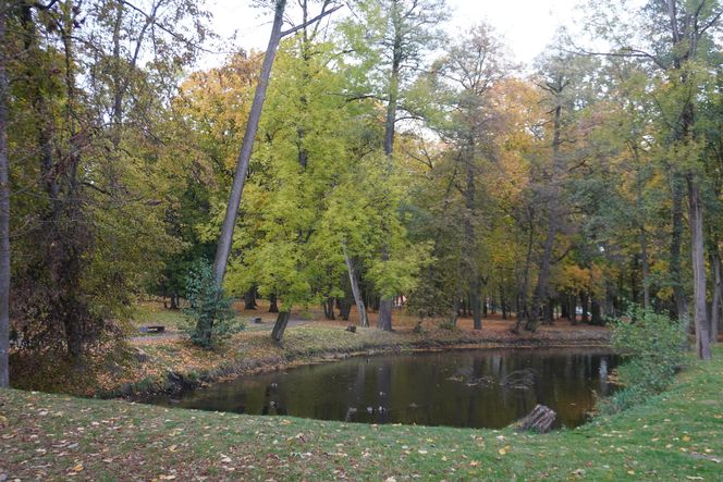 Park Lubomirskich w Białymstoku jesienią 