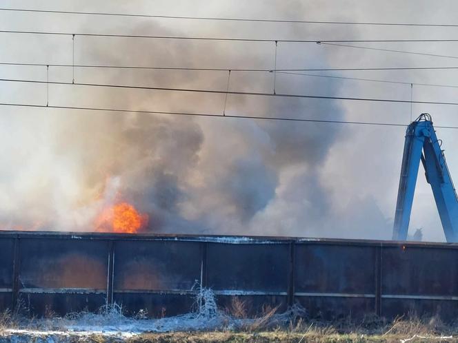 Pali się składowisko odpadów w Przysiece Polskiej