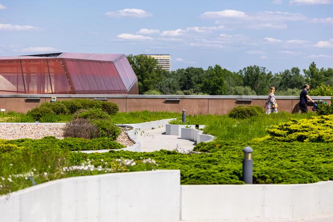 Ogród na dachu Centrum Nauki Kopernik