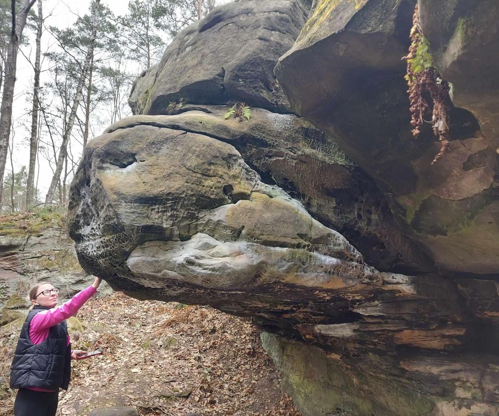 Skalne miasto w centrum Świętokrzyskiego. Ślady historii sprzed około 200 milionów lat