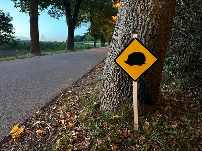 Nietypowe znaki drogowe w Piekarach Śląskich. Ostrzegają o... jeżach. Tak miasto dba o bezpieczeństwo małych ssaków