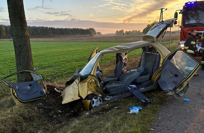 Chciała ominąć zwierzę, sama trafiła do szpitala