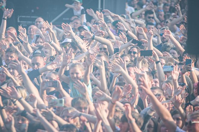 Sosnowiec Fun Festival. Publiczność szaleje przed sceną