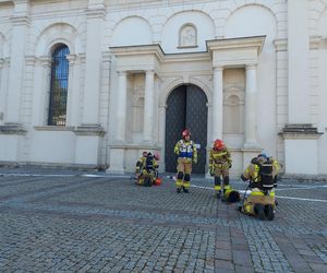 Działania służb przy katedrze