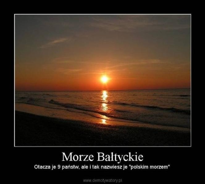 Wakacje rozpoczęte! Polacy ruszyli na plaże! Zobacz najlepsze MEMY!