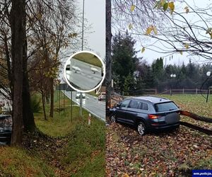 Chwile grozy na drodze krajowej. Wtargnęły na jezdnię, kierowca wjechał w drzewo. Nie poniosą kary!