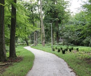 Zabytkowy park pod Lubawą zmienił się nie do poznania. Teraz wygląda jak z bajki
