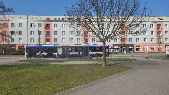 Historia wśród drzew! Tak żyje się na osiedlu Leśnym w Bydgoszczy