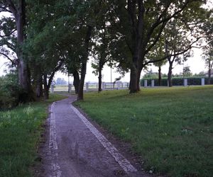 Park w gminie Mełgiew