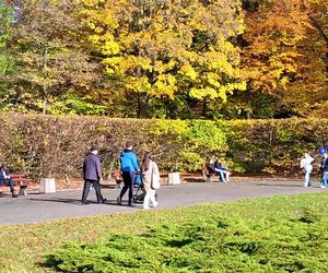 1 listopada na Cmentarzu Centralnym w Szczecinie