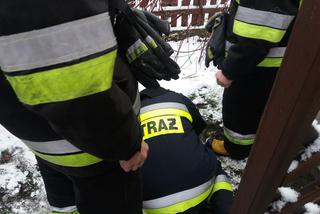 Mały kotek wpadł do szamba w Prądocinie. Z pomocą przybyli strażacy! [ZDJĘCIA]