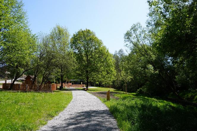 Tak wygląda park w dolinie Ślepiotki w Katowicach